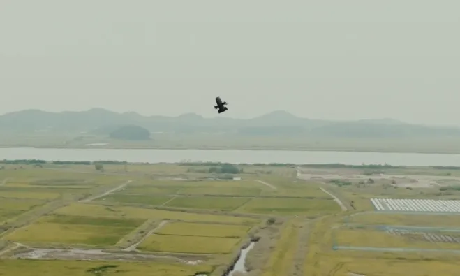 2025년 고객사 시연 현장에서 비행 중인 요격드론 ‘카이든’. 니어스랩은 샤헤드 계열 자폭드론까지 대응할 수 있는 대응 버전도 개발 중이라고 밝혔다. 니어스랩 제공