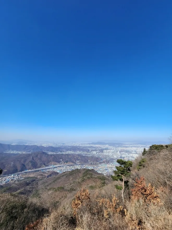 검단산 도심 풍경