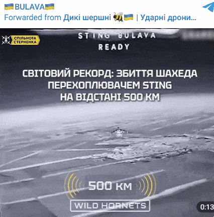 우크라이나 드론 부대가 공개한 러시아제 샤헤드 드론 격추 영상. 불라바 부대 텔레그램 캡처