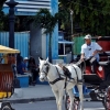 빈 마차 달리는 쿠바, 외국인관광객 발걸음 뚝 끊겨 [여기는 남미]