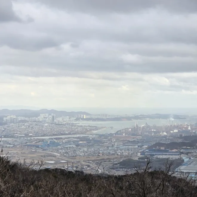 운제산에서 바라보는 영일만 풍경