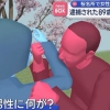 日 벚꽃 구경 여성 깨문 80대 노인 갑자기 사망…경찰 당혹 [핫이슈]