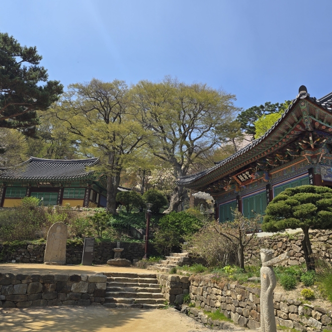 걷기만해도 아늑한 곳, 현존 최고령 고찰 전등사 [두시기행문]