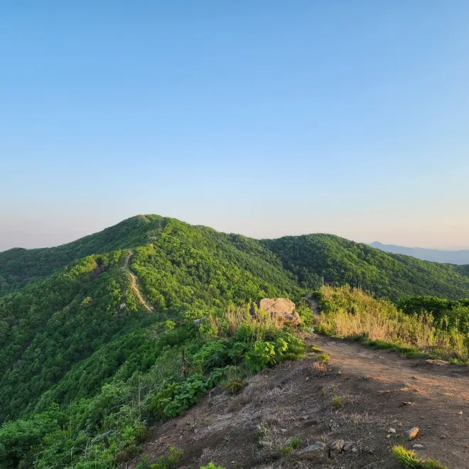 원적산의 부드러운 능선