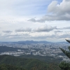 청계산, 도심을 굽어보는 매의 비상 [두시기행문]