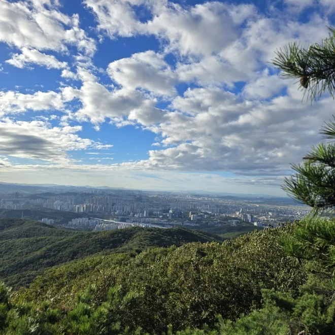 도심과 어우러진 광교산의 모습