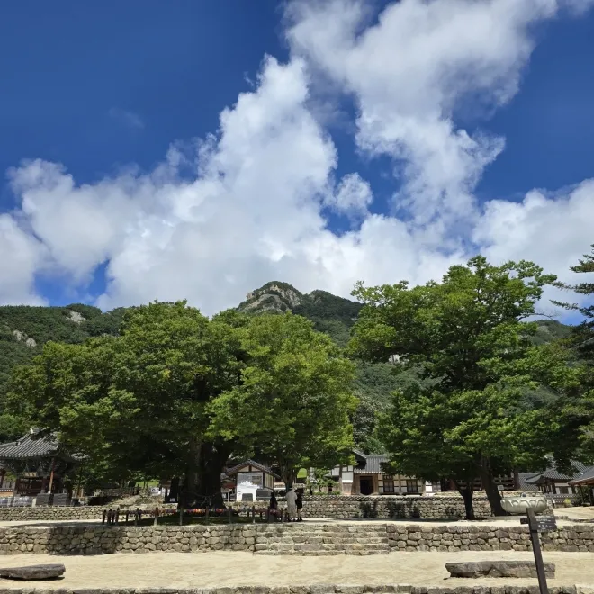 내소사의 당산나무와 능가산의 모습
