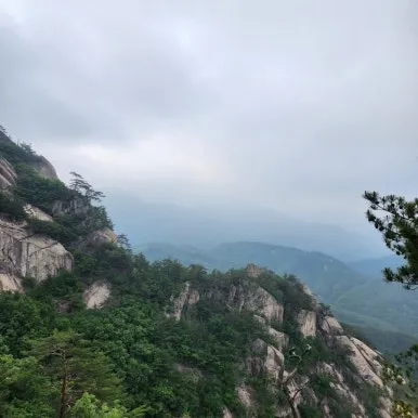 도락산 암릉과 소나무