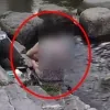 thumbnail - 청계천에서 목욕하는 이 여성 누구?…‘때밀이 민폐 빌런’ 논란에 정부도 나섰다