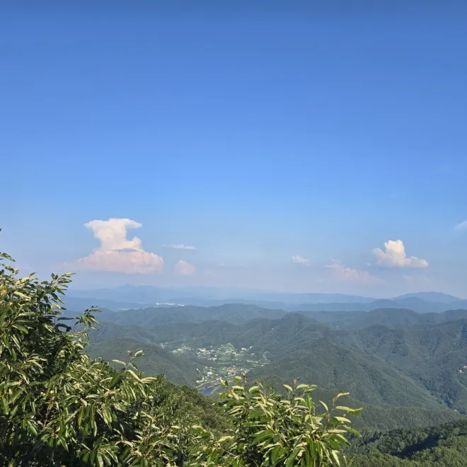 금학산 풍경