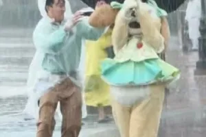 하루 316㎜ 비·태풍에도 야외 공연…상하이 디즈니 ‘강제 근무’ 논란