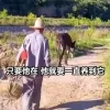 thumbnail - “평생 일했는데 어떻게 팔아”…38살 당나귀와 78세 노인 눈물나는 우정