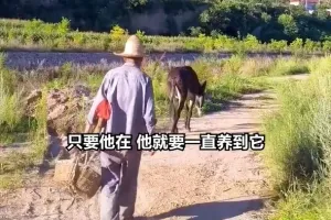 “평생 일했는데 어떻게 팔아”…38살 당나귀와 78세 노인 눈물나는 우정