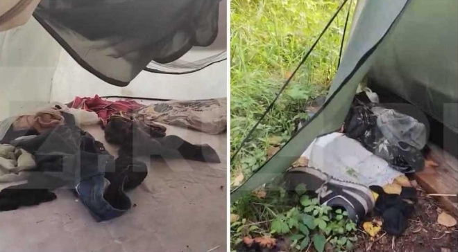 남친과 잠든 20대 여성, 곰에 끌려가 숨져…러, 곰 12마리 사살 [핫이슈]