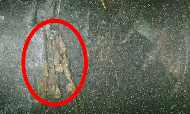 2024년 3월 일본 후쿠시마 제1원자력발전소 1호기의 원자로를 둘러싸고 있는 격납용기 내부 모습이 공개됐다. 붉은 동그라미가 핵연료 잔해(데브리)로 추정된다. 도쿄전력 제공