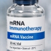 췌장암 치료의 희망 될까?…‘mRNA 면역치료제’ 후보 등장 [핵잼 사이언스]
