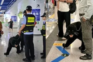 지하철역에 쇠사슬 찬 ‘흑표범’ 등장? 알고보니 ‘바퀴’ 달린 캐리어